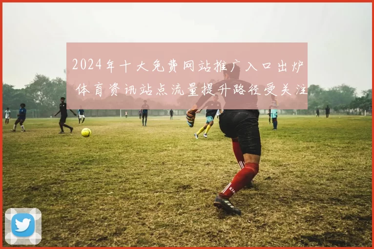 2024年十大免费网站推广入口出炉 体育资讯站点流量提升路径受关注
