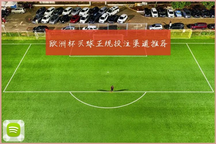 欧洲杯买球正规投注渠道推荐
