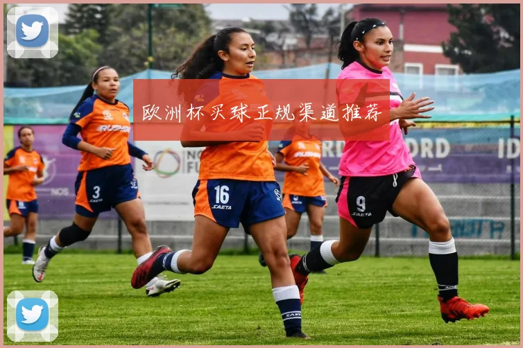 欧洲杯买球正规渠道推荐