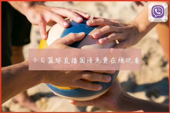 今日篮球直播国语免费在线观看
