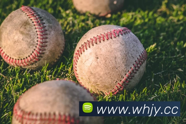 开云app苹果版官网入口 - 开云(中国)APP 体育赛事宣传图